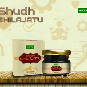 Shudh Shilajit-20g